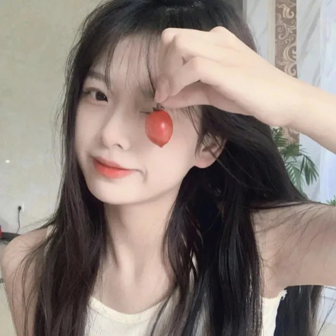 鸽之翼